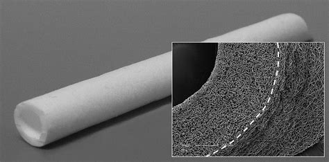 Porcine Carotid Artery Replacement With Biodegradable Electrospun Poly