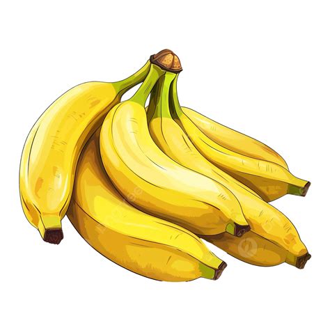 Bunch Of Bananas Clip Art