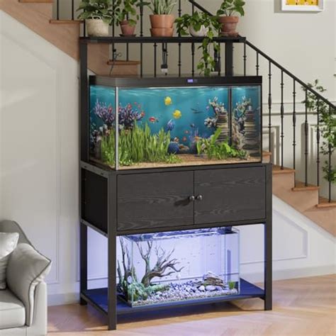 How To Buy Best 75 Gallon Aquarium Setup 2024 Reviewed By Experts