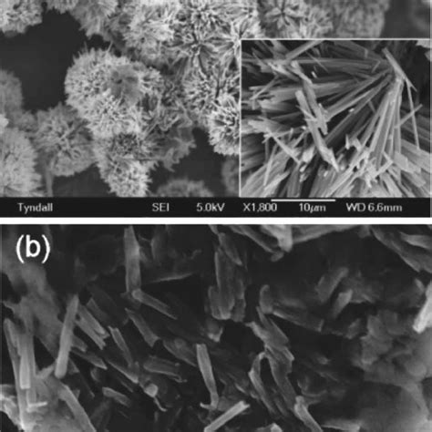 (PDF) Vanadate Conformation Variations in Vanadium Pentoxide Nanostructures