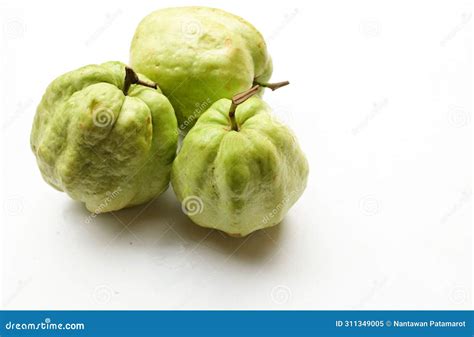 Fresh Green Raw Guava Psidium Guajava L Fruit Cut In Half Sliced