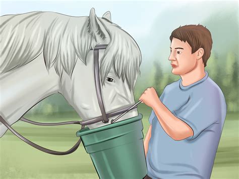 How To Feed A Horse 15 Steps With Pictures Wikihow