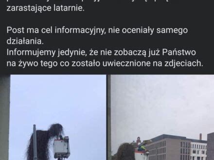 Na miły początek tygodnia Joe Monster