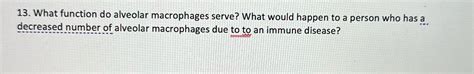 [Solved] 13. What function do alveolar macrophages serve? What would ...