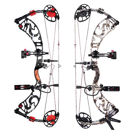 Archery Hunting Dragon Black Camo Compound Bow + Compound Bow ...