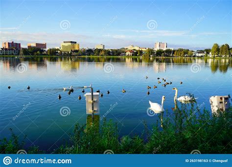 Landscape Of City Center Of Lakeland Stock Image Image Of Cleaning