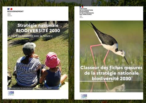 La Nouvelle Nouvelle Stratégie Biodiversité 2030 Enfin Dévoilée