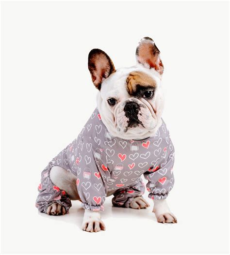 Pet Shop – PawFriends