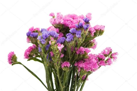 Statice flower bouquet Stock Photo by ©ksena32 120932568