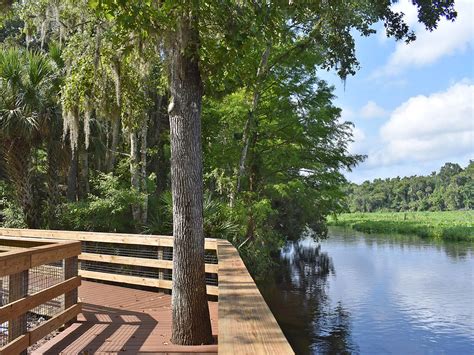 Wekiva River Paddling Trail Wekiwa Springs Florida Hikes