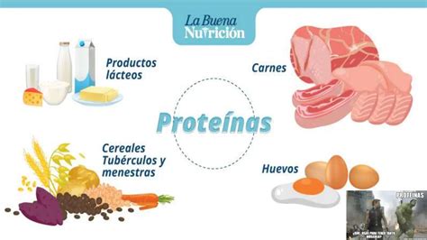 Clase De Conociendo Los Nutrientes De Basica PPT