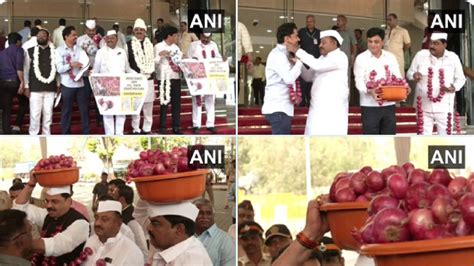 Maharashtra NCP MLAs Reach Assembly Carrying Onions On Their Heads