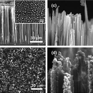 A Cross Sectional And B Plan Viewed Sem Micrographs For