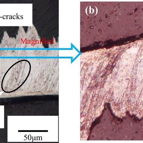 Cross Sectional Geometry And Metallographic Microstructure Of The