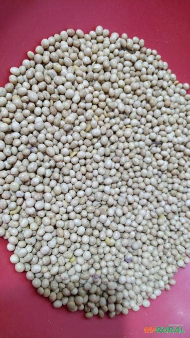 Ls Island Pree Teen Non Nude Biquini Cameltoe Preço Venda