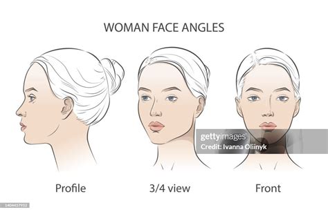 Vector Woman Face Set Of Three Different Angles Different View Front