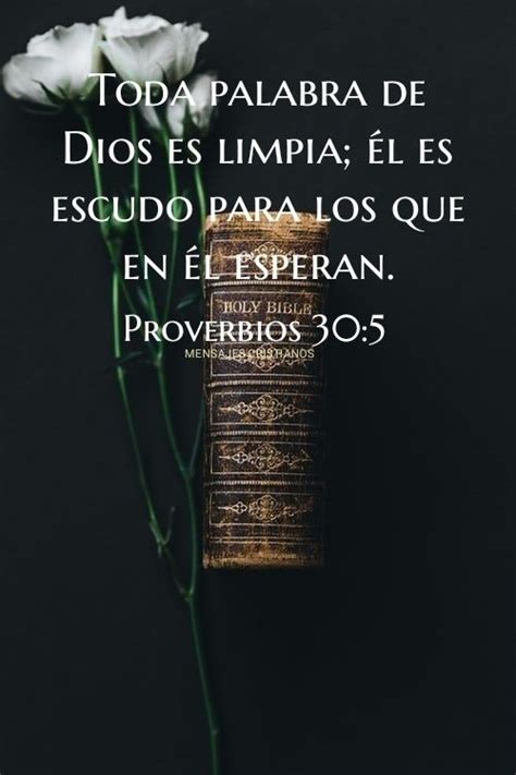 Mensajes Cristianos Proverbios Mensaje De Dios Palabra De