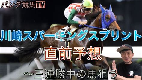 【川崎スパーキングスプリント 2022】直前予想〜パンダ競馬tv Youtube