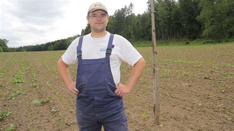 Tote Krähen hängen an Galgen über Feld Tierschützer geschockt von Bio