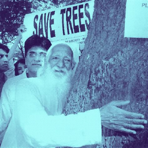 The Life and Impact of Sunderlal Bahuguna: Leader of the Chipko ...