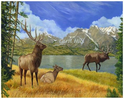 Mountain Elk Print From My Original Oil Painting 8x10 Etsy