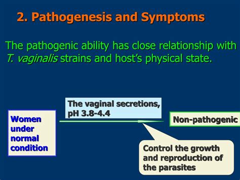 Ppt Giardia Lamblia Trichomonas Vaginalis Powerpoint Presentation Free Download Id9198329