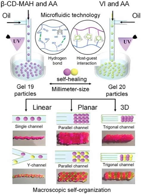 Supramolecular Flow Chemistry Construction Of Multiscale