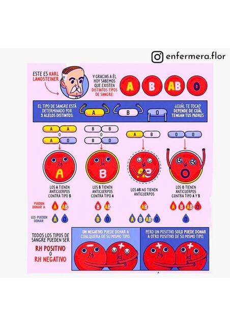 El Tipo De Sangre Enfermería Udocz