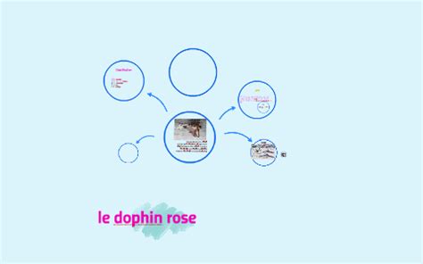 Le Dophin Rose By Sharqawi Laila