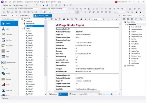 A Simple Guide To Building Reports Using Sql Server Reporting Services Hot Sex Picture