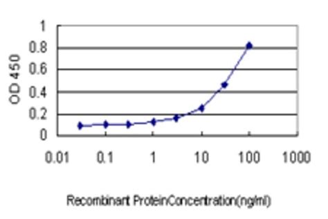 单克隆抗 SALL4 小鼠抗Monoclonal Anti SALL4 antibody produced in mouse