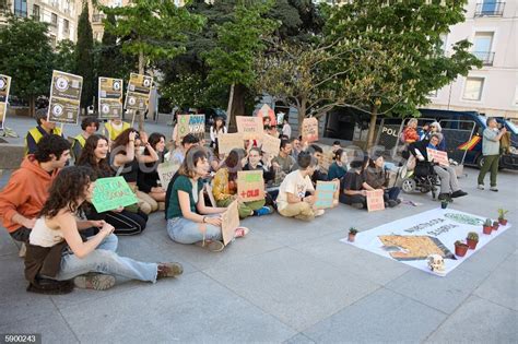 Juventud Por El Clima Se Concentra En Madrid Para Denunciar La Sequía