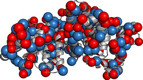 Human Serum Albumin: Significance and Its Deficiency ~ Articles Buzz