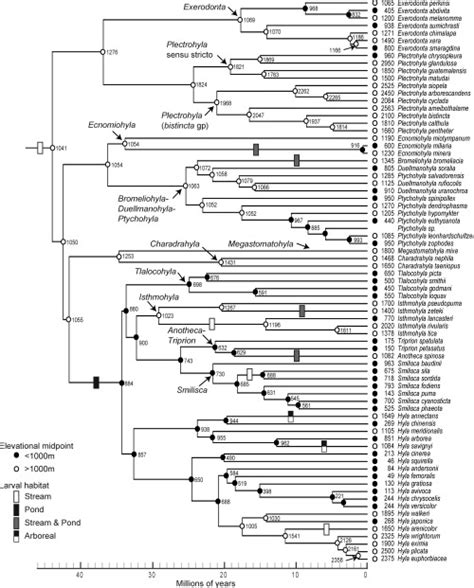 Reconstruction Of The Elevational Midpoint Of Species Ranges On A