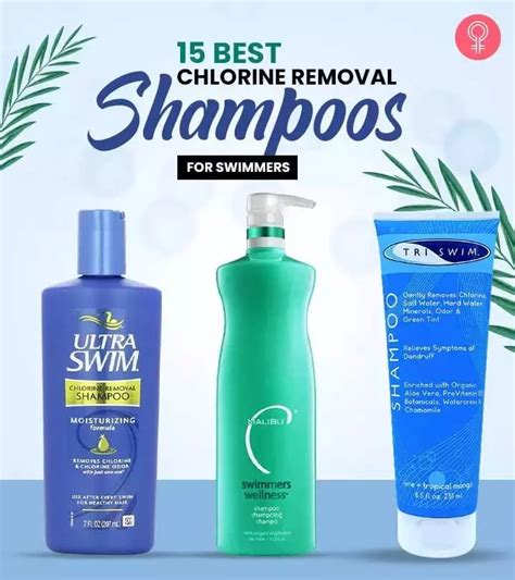 Best In Shampoos And Conditioners To Buy In