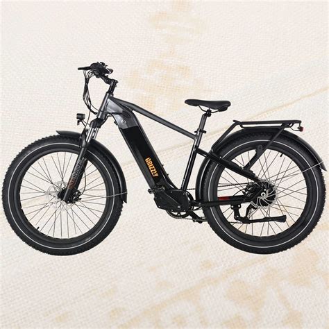 En15194 Fat Tire Electric Bike Mountain Ebike With 750W Motor Powerful