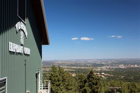 Cheyenne Mountain Zoo – Colorado Springs | Wildlife Exhibits and Events