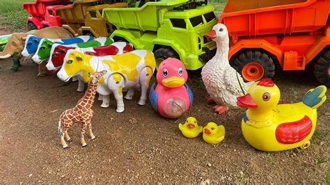 Wadidaw Toy Truck Oleng Angkut Sapi Bebek Angsa Gajah Orang Utan