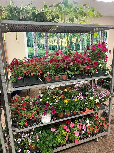 Redberry Greenhouses added a new photo. - Redberry Greenhouses