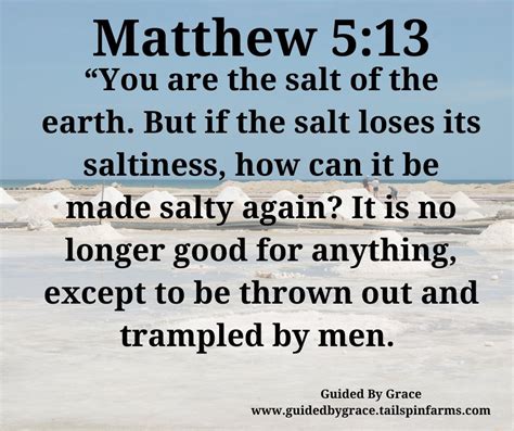 Salt Of The Earth Matthew 513 Guided By Grace