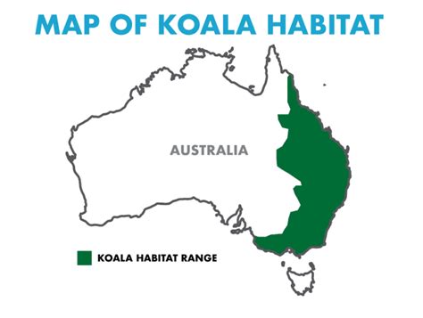 Koala Habitat Map - Discover Their Range | See The Wild