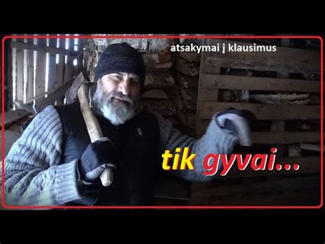 Atsakymai Gyvai Atvykusiems Youtube