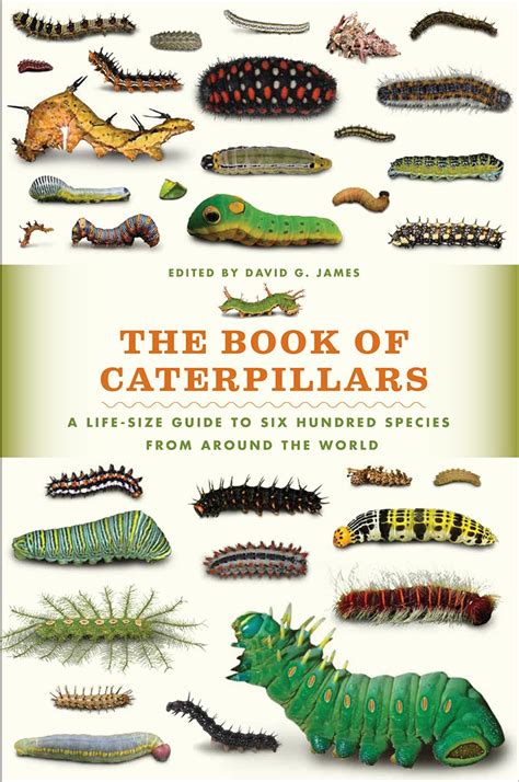 The Book of Caterpillars: A Life-Size Guide to Six Hundred Species from ...