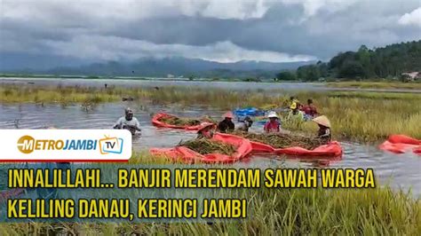 Banjir Merendam Sawah Warga Kerinci Video Dailymotion