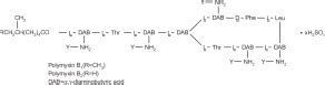 Polymyxin B Sulfate And Trimethoprim Akorn Fda Package Insert