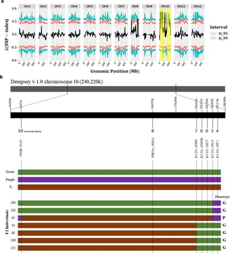 Genetic Mapping Of Caan Using Bsr Seq A Estimation Of The Candidate