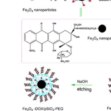 Pdf Magnetic Nanoparticle Drug Delivery Systems For Targeting Tumor