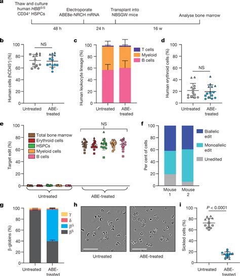 Engraftment Of Abe E Nrch Mrna Treated Scd Cd Hspcs After