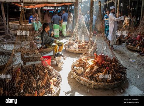 Live Chickens For Sale In A Market In Old Town Dhaka Bangladesh Stock