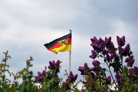 44 German eagle flag Stock Pictures, Editorial Images and Stock Photos ...